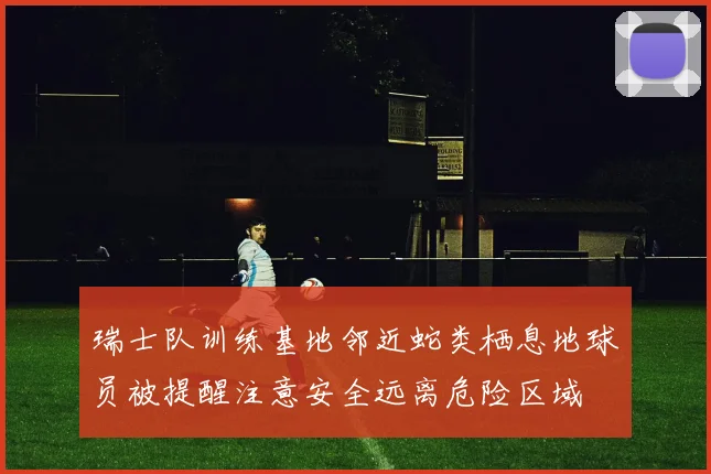 瑞士队训练基地邻近蛇类栖息地球员被提醒注意安全远离危险区域