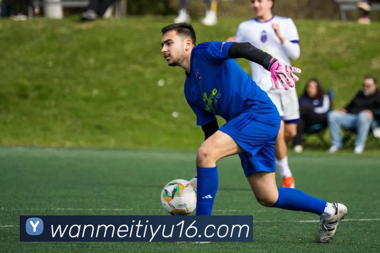 完美体育发展历程